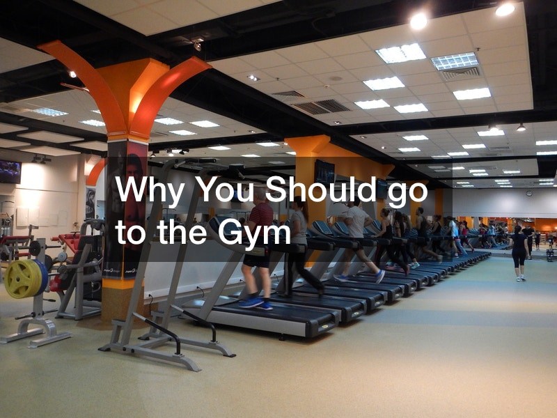 Why You Should go to the Gym